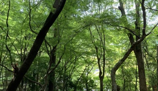 私の失敗談　株式暴落で500万損失